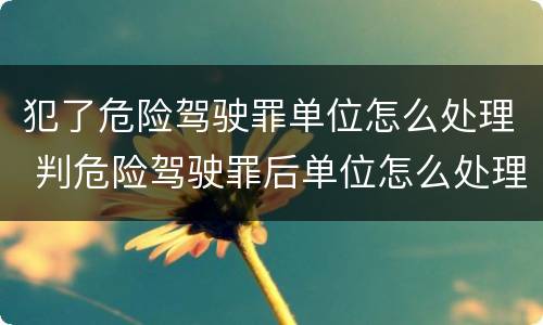 犯了危险驾驶罪单位怎么处理 判危险驾驶罪后单位怎么处理