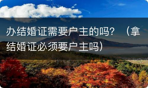 办结婚证需要户主的吗？（拿结婚证必须要户主吗）