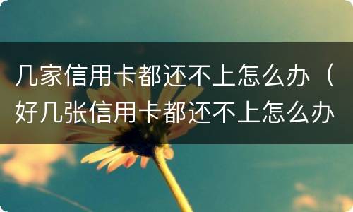 几家信用卡都还不上怎么办（好几张信用卡都还不上怎么办）