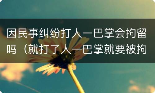 因民事纠纷打人一巴掌会拘留吗（就打了人一巴掌就要被拘留吗）