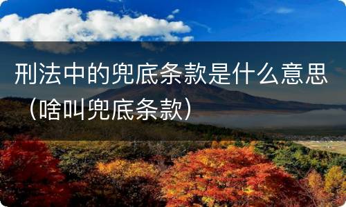 刑法中的兜底条款是什么意思（啥叫兜底条款）
