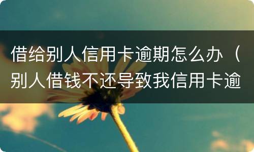 借给别人信用卡逾期怎么办（别人借钱不还导致我信用卡逾期）