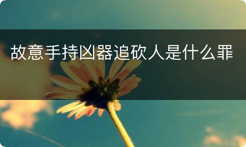 故意手持凶器追砍人是什么罪