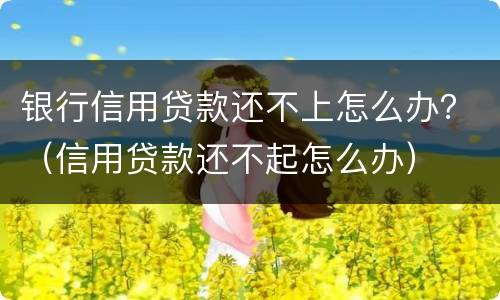 银行信用贷款还不上怎么办？（信用贷款还不起怎么办）