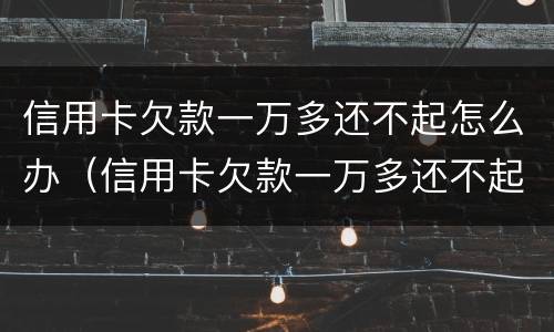 信用卡欠款一万多还不起怎么办（信用卡欠款一万多还不起怎么办呢）