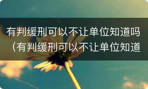 有判缓刑可以不让单位知道吗（有判缓刑可以不让单位知道吗怎么办）