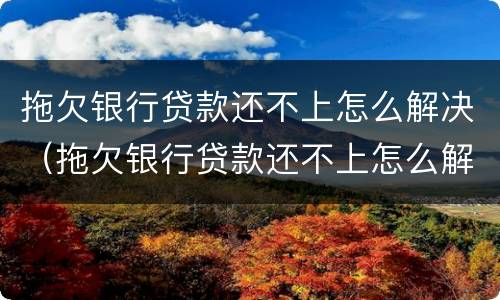 拖欠银行贷款还不上怎么解决（拖欠银行贷款还不上怎么解决呢）
