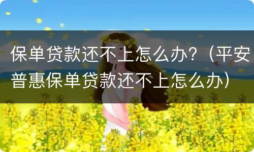 保单贷款还不上怎么办?（平安普惠保单贷款还不上怎么办）