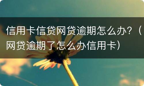 信用卡信贷网贷逾期怎么办?（网贷逾期了怎么办信用卡）