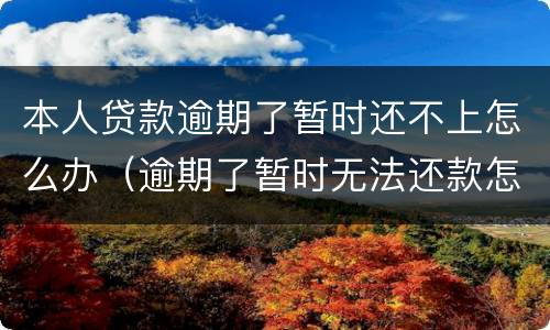 本人贷款逾期了暂时还不上怎么办（逾期了暂时无法还款怎么办）