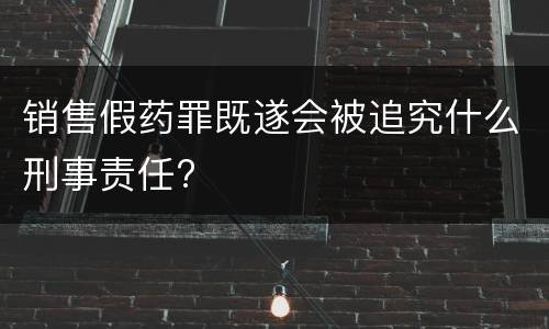 销售假药罪既遂会被追究什么刑事责任?