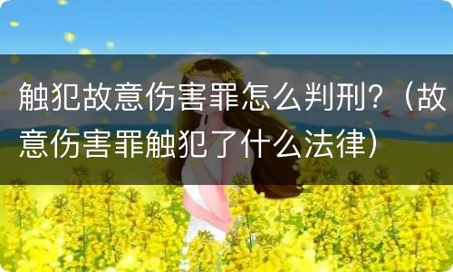 触犯故意伤害罪怎么判刑?（故意伤害罪触犯了什么法律）