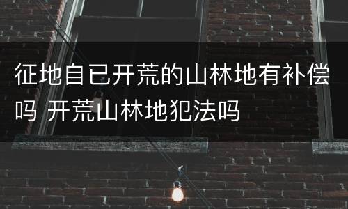 征地自已开荒的山林地有补偿吗 开荒山林地犯法吗