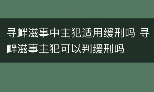 寻衅滋事中主犯适用缓刑吗 寻衅滋事主犯可以判缓刑吗