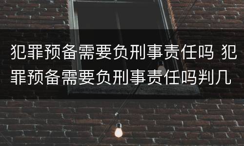 犯罪预备需要负刑事责任吗 犯罪预备需要负刑事责任吗判几年