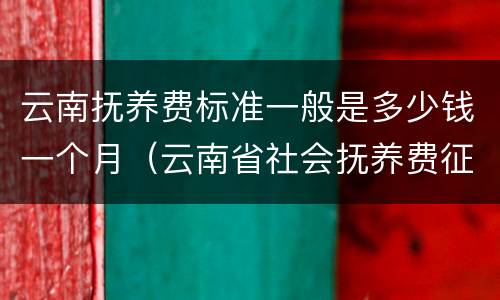云南抚养费标准一般是多少钱一个月（云南省社会抚养费征收管理办法2020）