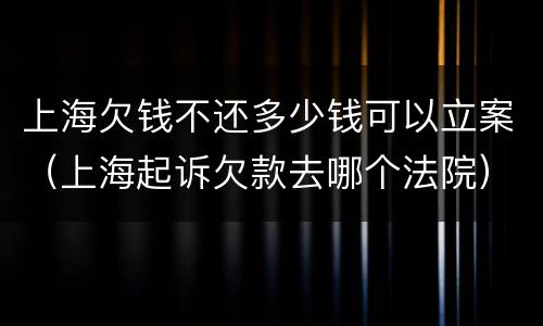 上海欠钱不还多少钱可以立案（上海起诉欠款去哪个法院）