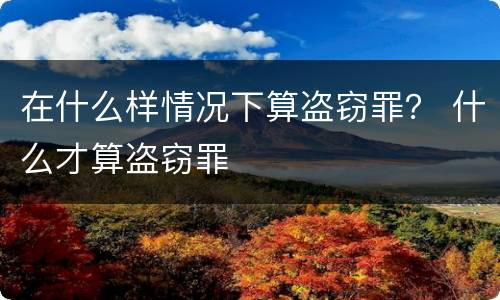 在什么样情况下算盗窃罪？ 什么才算盗窃罪