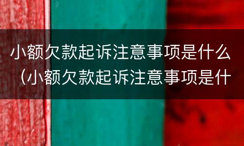 小额欠款起诉注意事项是什么（小额欠款起诉注意事项是什么呢）