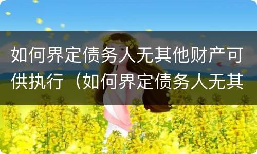 如何界定债务人无其他财产可供执行（如何界定债务人无其他财产可供执行呢）