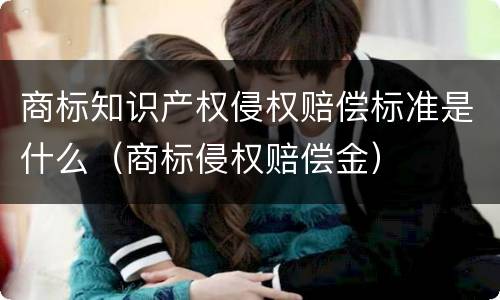 商标知识产权侵权赔偿标准是什么（商标侵权赔偿金）
