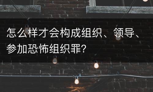 怎么样才会构成组织、领导、参加恐怖组织罪？