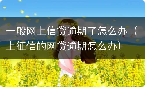 一般网上信贷逾期了怎么办（上征信的网贷逾期怎么办）