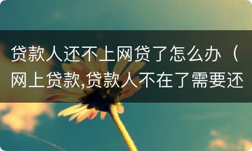 贷款人还不上网贷了怎么办（网上贷款,贷款人不在了需要还吗）