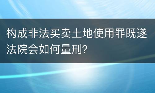 构成非法买卖土地使用罪既遂法院会如何量刑？