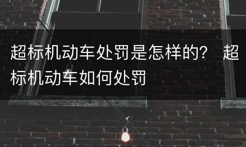 超标机动车处罚是怎样的？ 超标机动车如何处罚