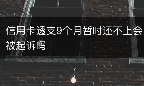 信用卡透支9个月暂时还不上会被起诉吗