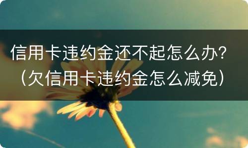 信用卡违约金还不起怎么办？（欠信用卡违约金怎么减免）
