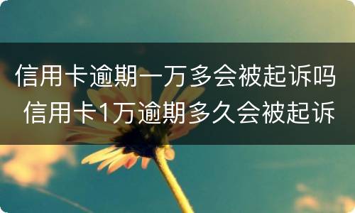 信用卡逾期一万多会被起诉吗 信用卡1万逾期多久会被起诉