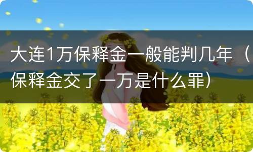 大连1万保释金一般能判几年（保释金交了一万是什么罪）