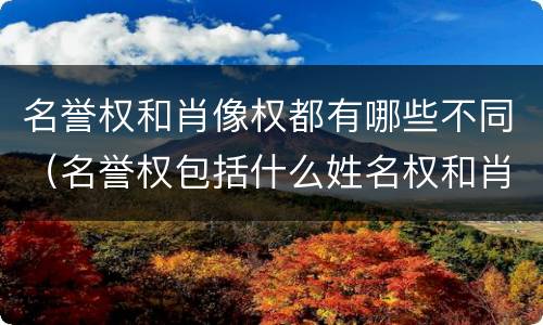 名誉权和肖像权都有哪些不同（名誉权包括什么姓名权和肖像权吗）