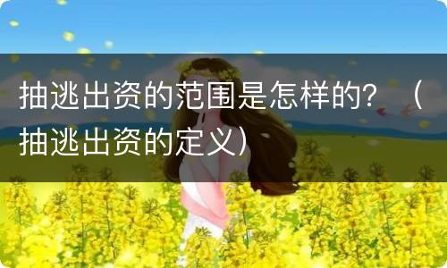 抽逃出资的范围是怎样的？（抽逃出资的定义）
