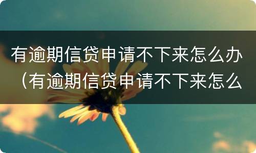 有逾期信贷申请不下来怎么办（有逾期信贷申请不下来怎么办呢）