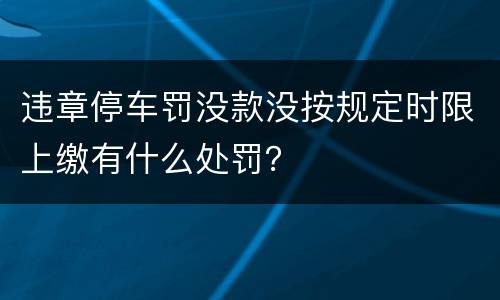 违章停车罚没款没按规定时限上缴有什么处罚？