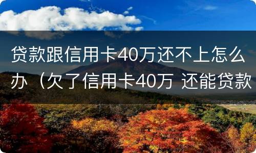 贷款跟信用卡40万还不上怎么办（欠了信用卡40万 还能贷款吗）