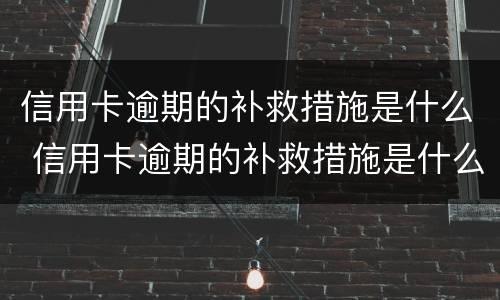 信用卡逾期的补救措施是什么 信用卡逾期的补救措施是什么原因