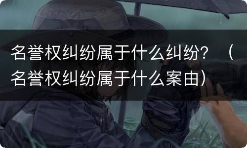 名誉权纠纷属于什么纠纷？（名誉权纠纷属于什么案由）