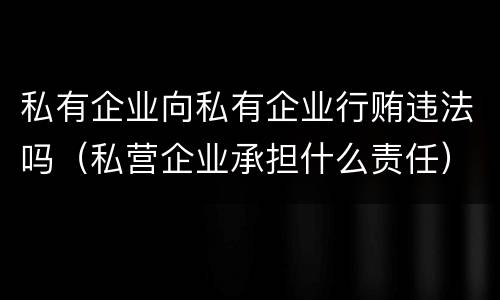 私有企业向私有企业行贿违法吗（私营企业承担什么责任）