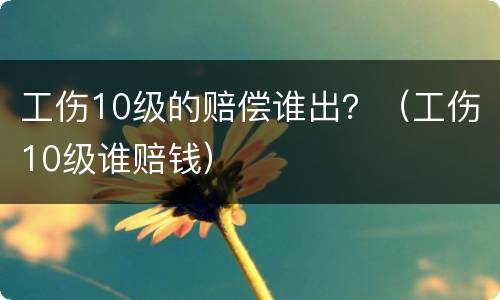 工伤10级的赔偿谁出？（工伤10级谁赔钱）