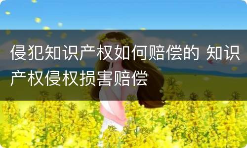 侵犯知识产权如何赔偿的 知识产权侵权损害赔偿