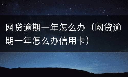 网贷逾期一年怎么办（网贷逾期一年怎么办信用卡）