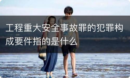 工程重大安全事故罪的犯罪构成要件指的是什么