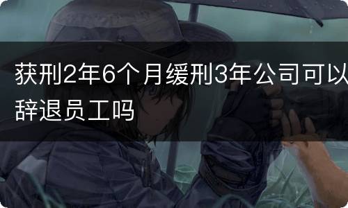 获刑2年6个月缓刑3年公司可以辞退员工吗