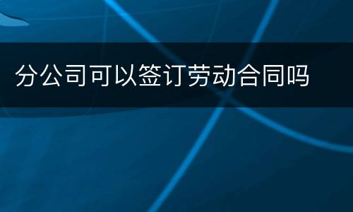 分公司可以签订劳动合同吗