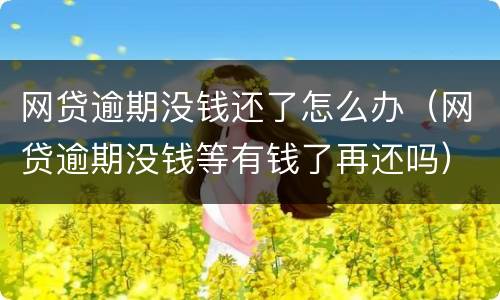 网贷逾期没钱还了怎么办（网贷逾期没钱等有钱了再还吗）
