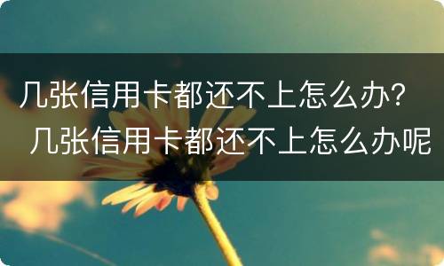 几张信用卡都还不上怎么办？ 几张信用卡都还不上怎么办呢